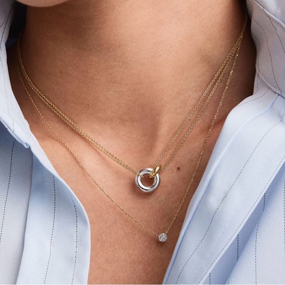 Mejuri Linked Two Tone Necklace - Picture 4 of 9